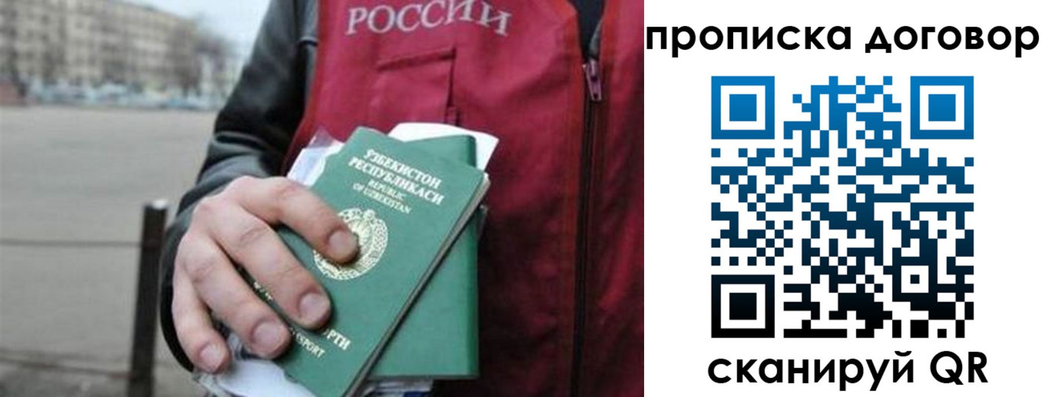 прописка 2025 в Кингисеппе