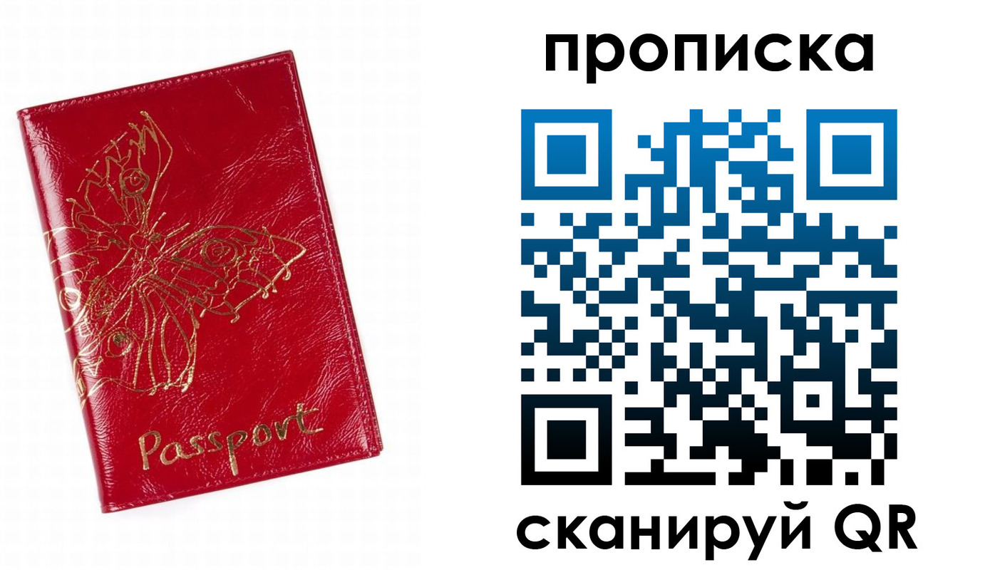прописка поиск в Кингисеппе