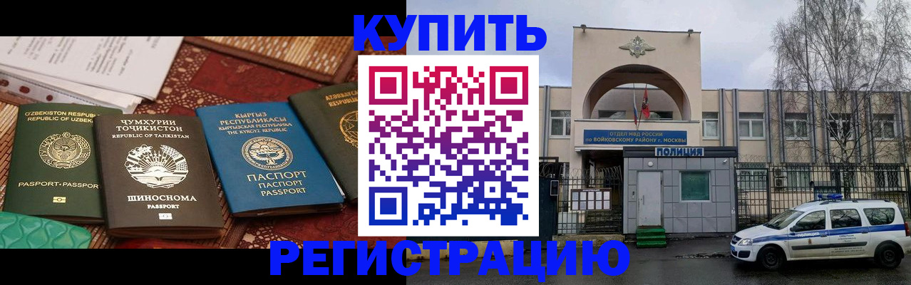 временная прописка в Кингисеппе
